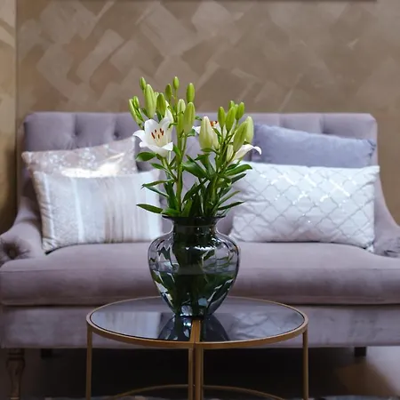 Teatro Verdi Boutique فندق زادار