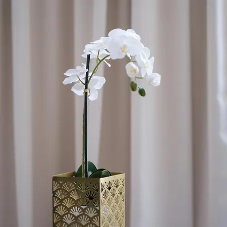 Teatro Verdi Boutique Отель Задар