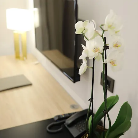 Teatro Verdi Boutique Ζαντάρ