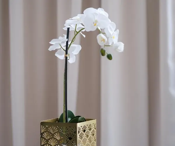 Teatro Verdi Boutique 酒店 扎达尔